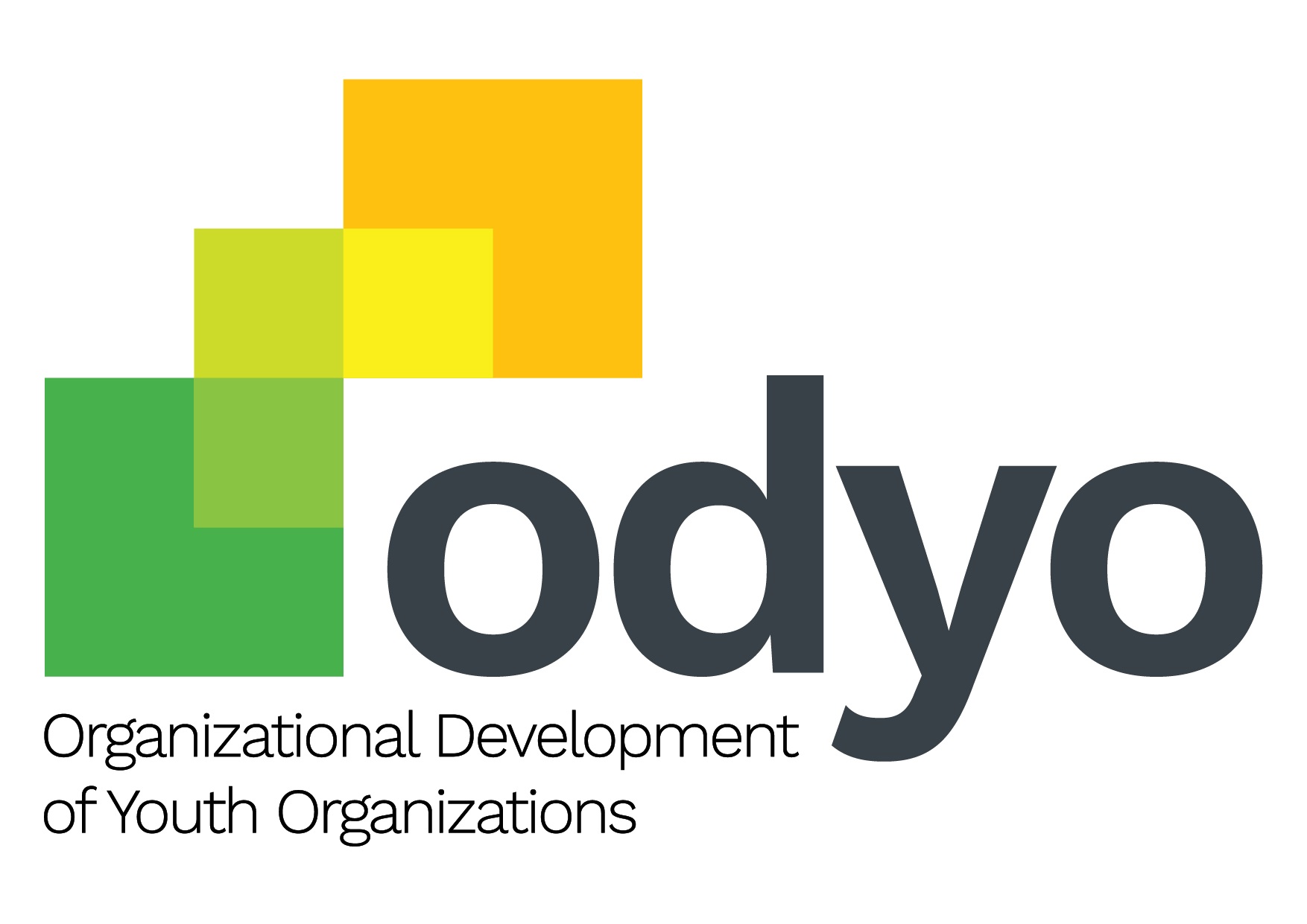 ODYO oferă organizațiilor de tineret instrumente utile pentru dezvoltare organizațională