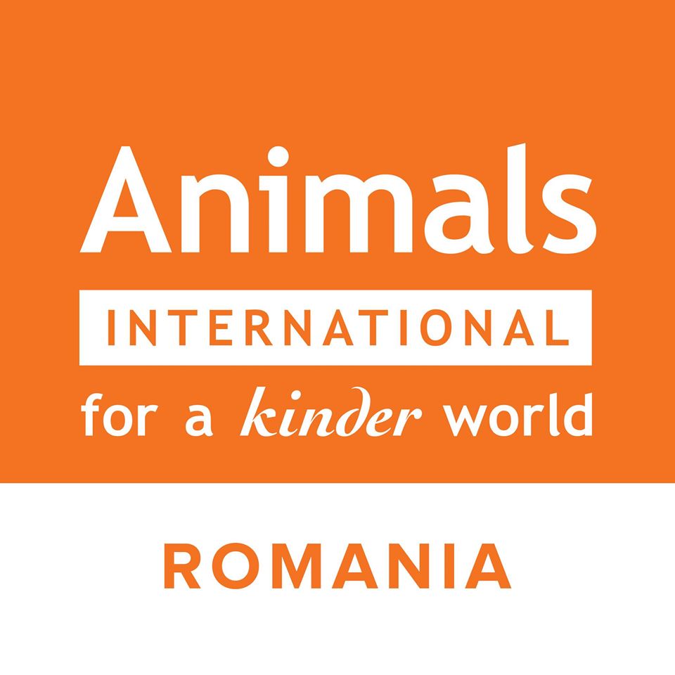 Auditul Comisei Europene din portul Midia: România, sursă de dezastre maritime la exportul cu animale vii