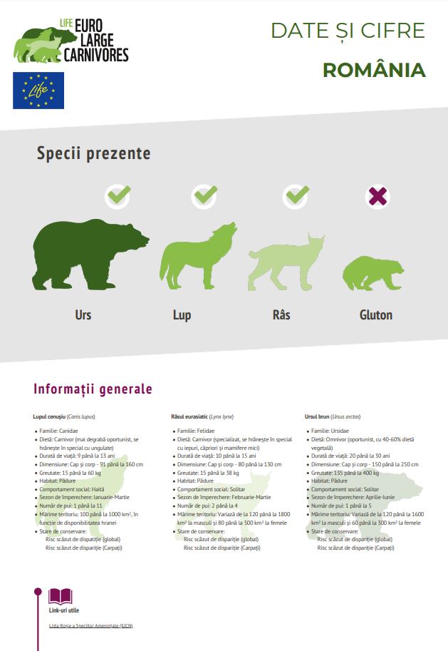 Informații despre carnivorele mari din 15 țări europene, disponibile pe site-ul proiectului LIFE EuroLargeCarnivores