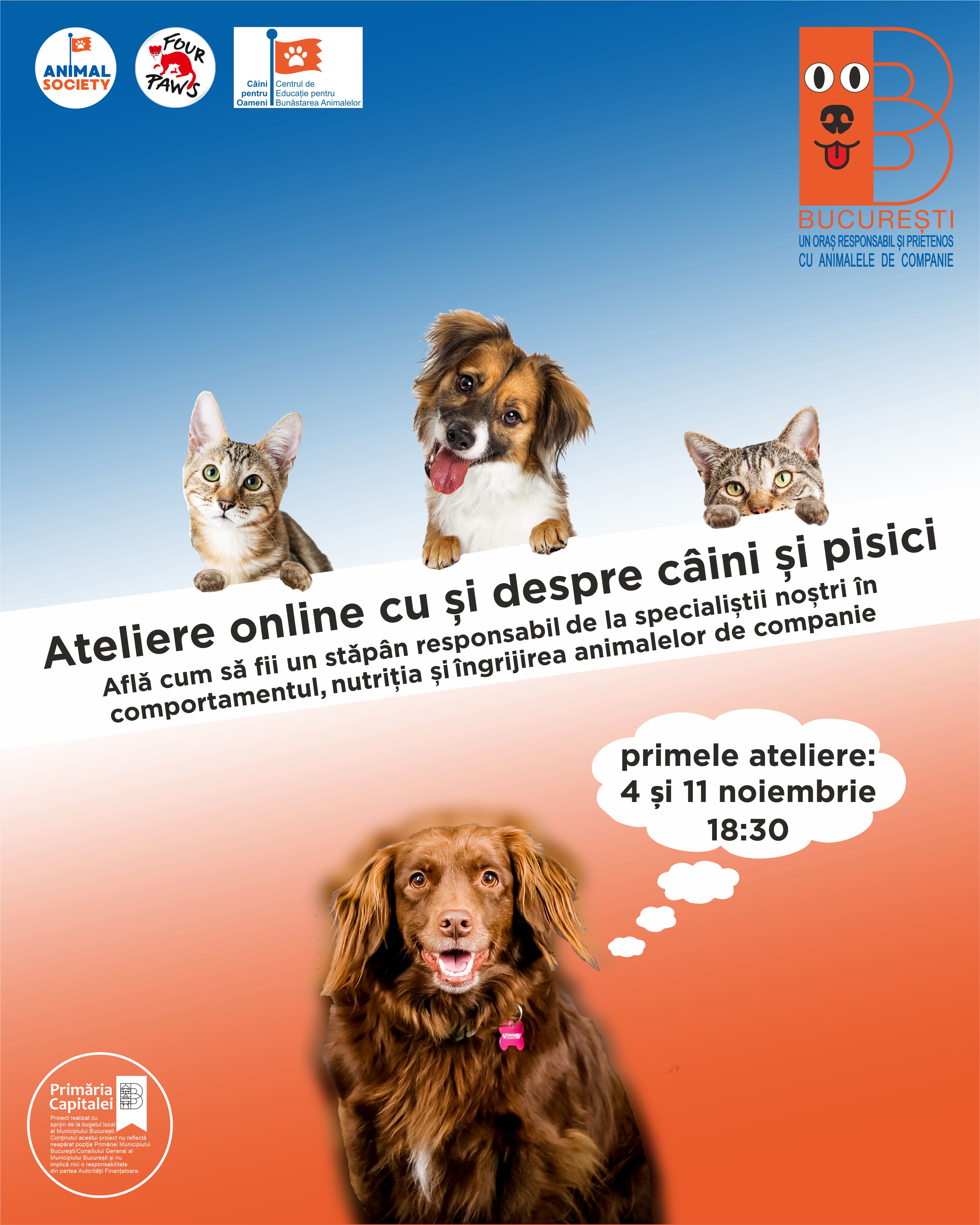 Animal Society va susține o serie de ateliere educative online, pentru un București mai responsail și prietenos cu animalele