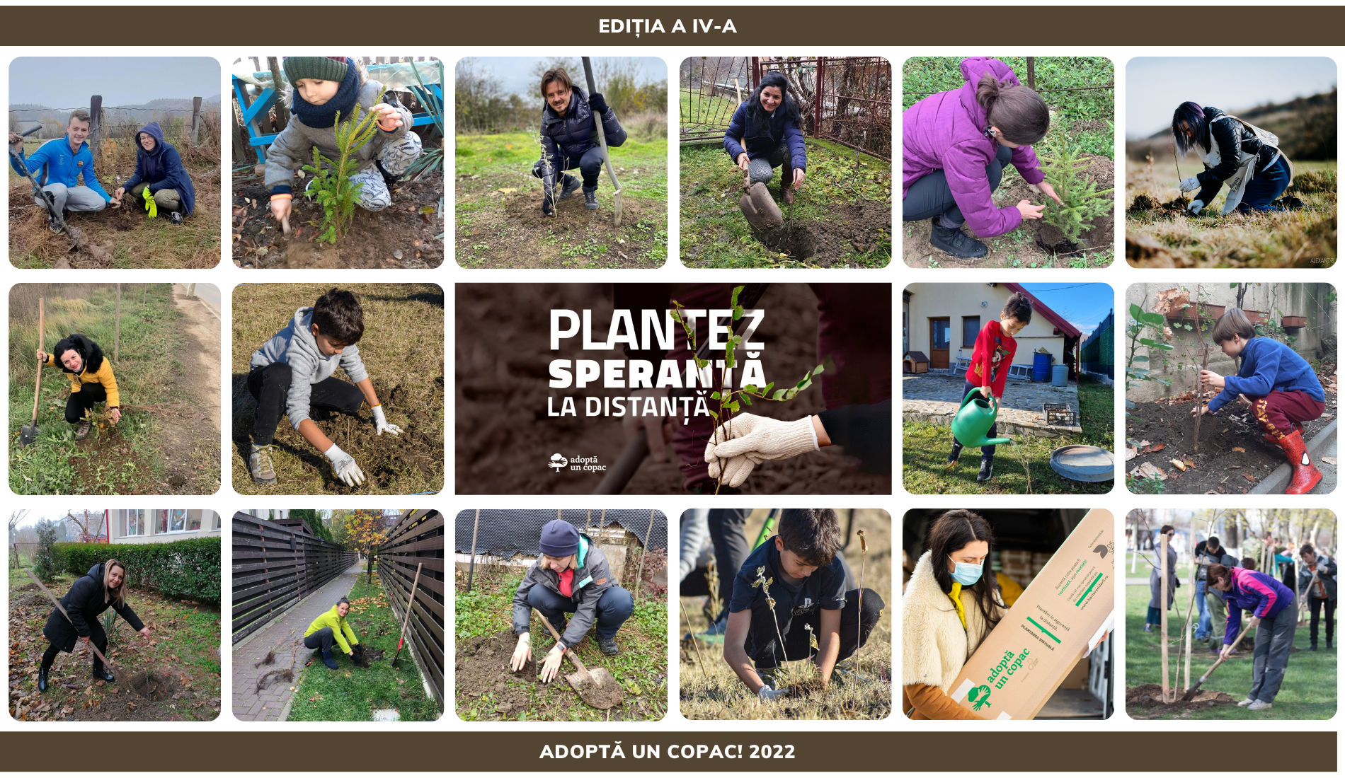 Programul de împădurire Adoptă un Copac! lansează cea de-a patra ediție a campaniei  „Plantăm speranță la distanță”