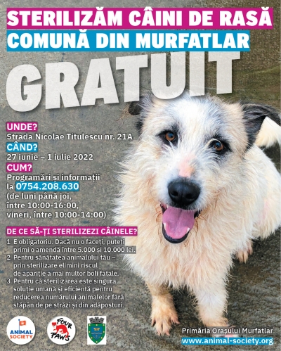 Campanie de sterilizări gratuite pentru câinii și pisicile de rasă comună din Murfatlar,  derulată de Animal Society, în parteneriat cu Four Paws International și Primăria Murfatlar