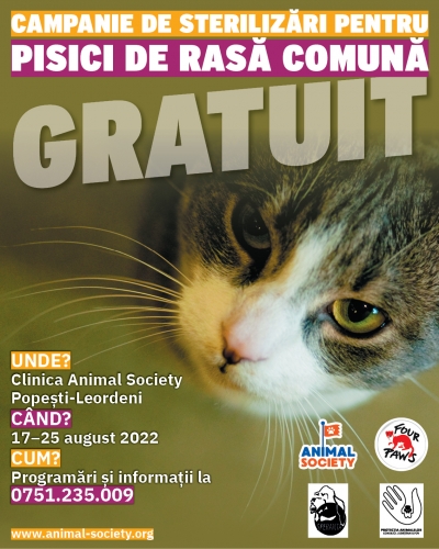  Animal Society, în parteneriat cu Four Paws International și cu sprijinul Consiliului Județean Ilfov derulează o campanie de sterilizări gratuite pentru pisicile de rasă comună în perioada 17-25 august