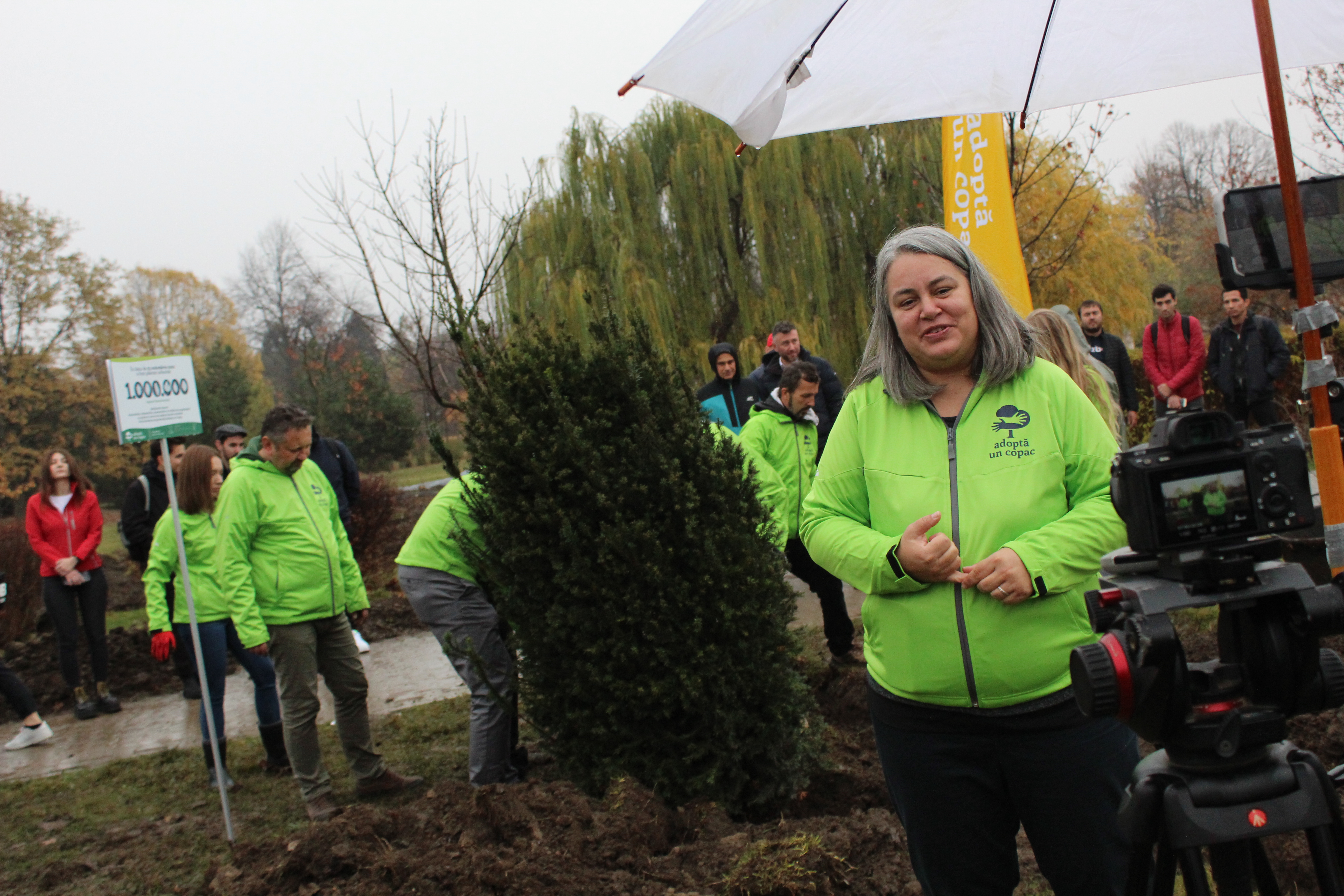 563 de copaci plantați în școlile din București. Mai mult de 1.500 de elevi au folosit ghidurile educaționale Adoptă un Copac, despre importanța pădurilor