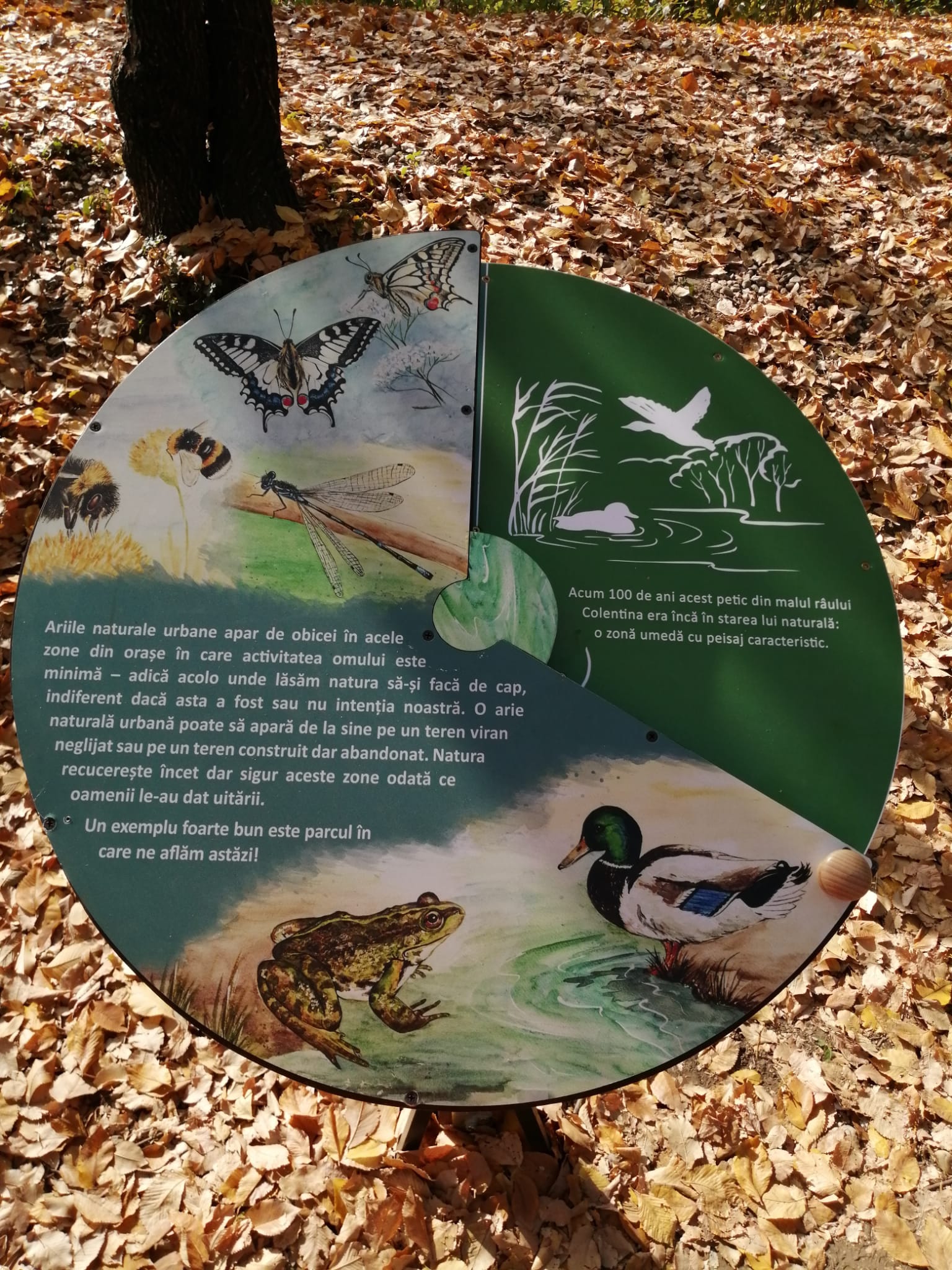 ”Natura sub lupă” - traseu tematic dedicat biodiversității în Parcul Sticlăriei